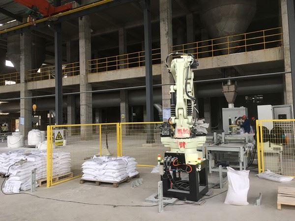 Packaging Palletizing Production Line